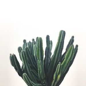 Meet your Posher, Miki